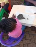 IMG_20260513_105903cmp